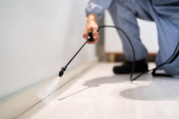 Licensed Termite Control service in Cumberland, MD - Nex Pest Control