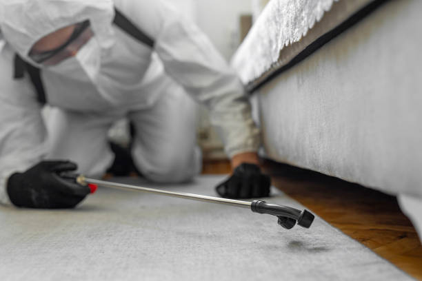 Professional Termite Control technician working in Cumberland, MD