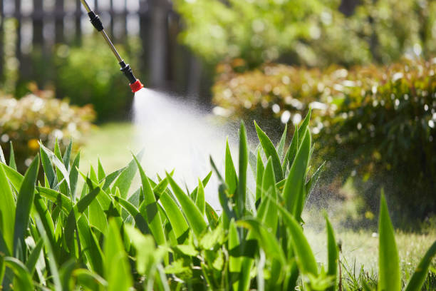 24/7 Emergency Termite Control experts in Cumberland, MD