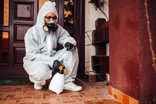 Reliable Termite Control contractor in Cumberland, MD by Nex Pest Control